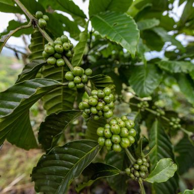 pexels photo 36815675 36815675 scaled.jpg