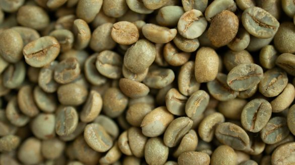Detailed macro shot of freshly harvested green coffee beans, perfect for brewing.